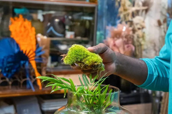 Créez votre terrarium - Afbeelding nr. 3 - Wecandoo