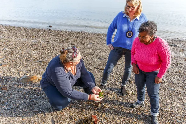 Partez à la découverte des algues et dégustez-les - Image n°2 - Wecandoo