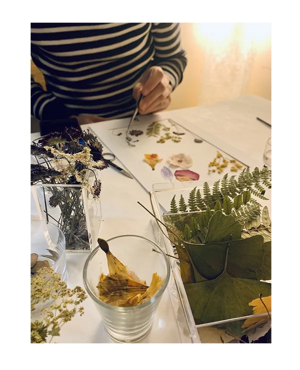 Composez votre herbier en fleurs séchées - Image n°2 - Wecandoo