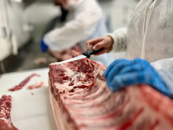 Fabriquez votre pâté et votre jambonneau - Image n°3 - Wecandoo