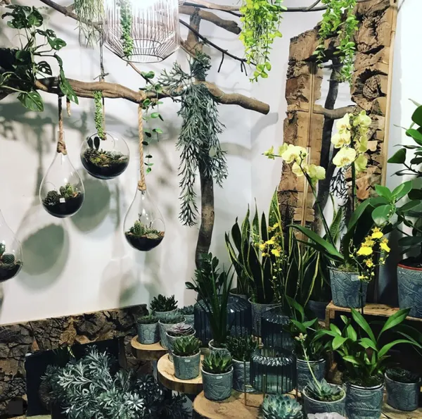 Fabriquez un grand terrarium - Image n°1 - Wecandoo