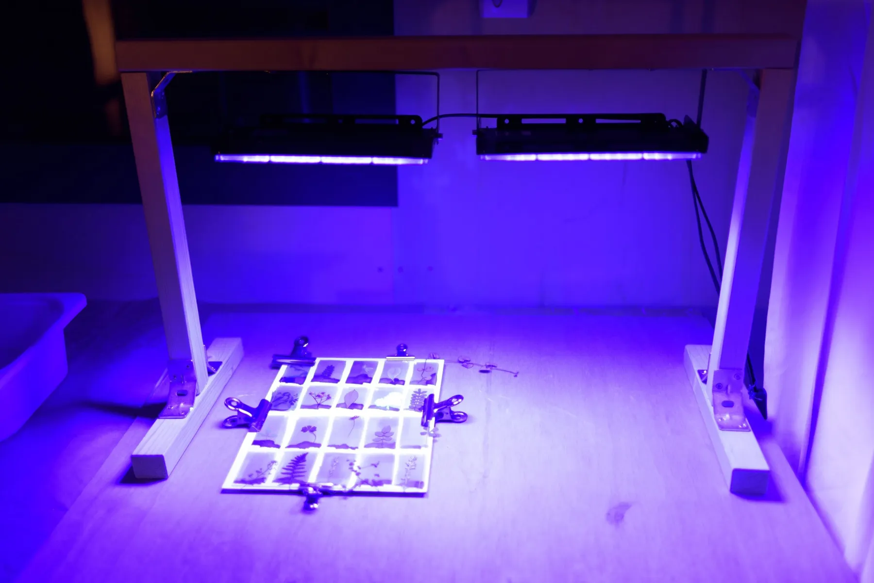 Initiez-vous au cyanotype - Image n°4 - Wecandoo