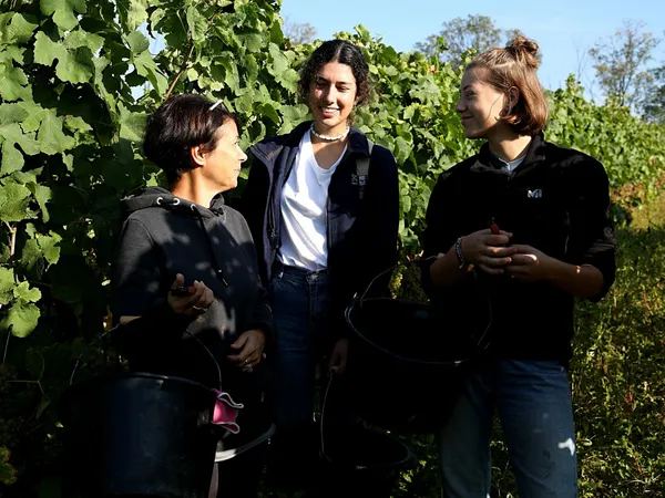 Découvrez le travail des vignes en biodynamie - Image n°2 - Wecandoo
