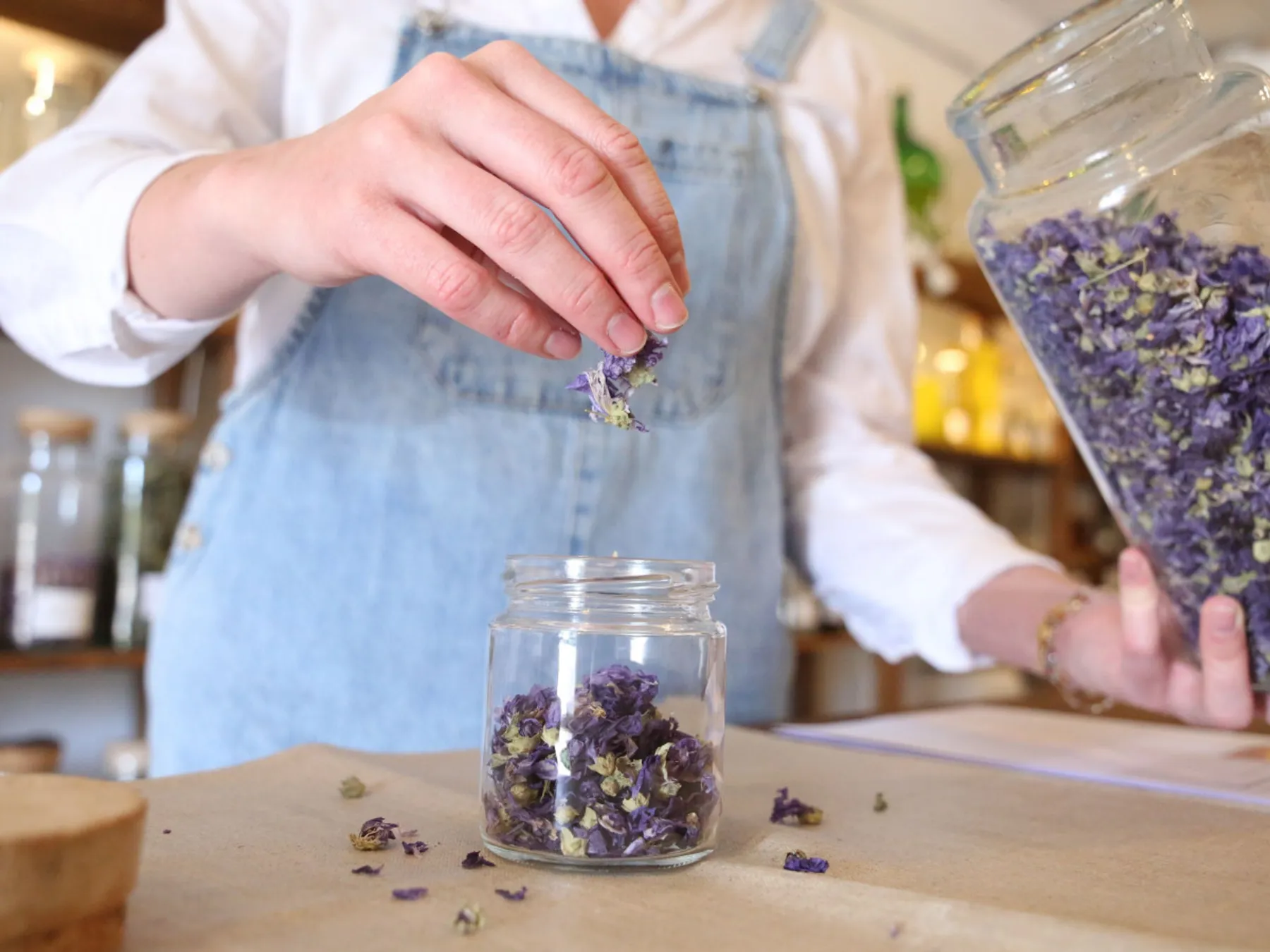 Vivez une journée d'immersion avec une herbaliste autour de la distillation de plantes - Image n°2 - Wecandoo