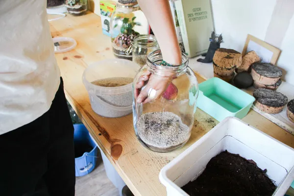 Composez votre terrarium - Image n°1 - Wecandoo