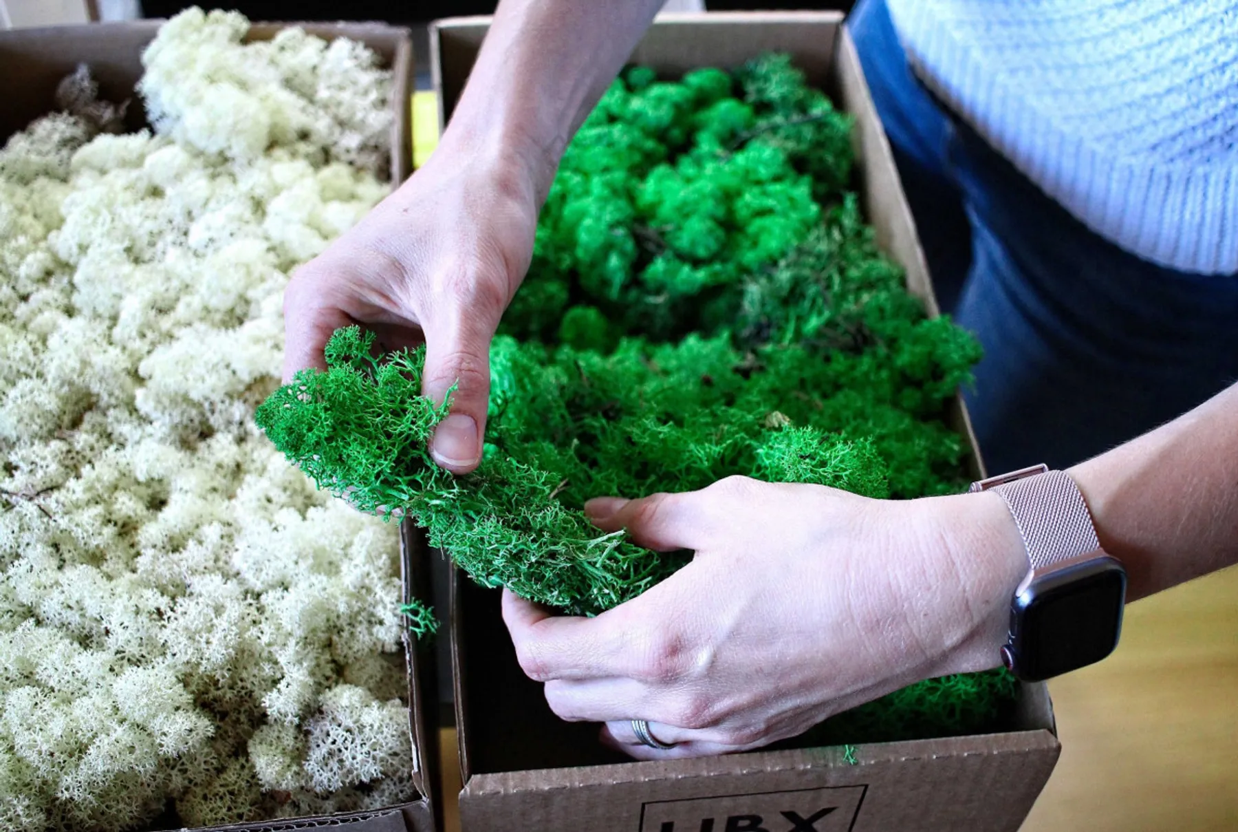 Réalisez votre cadre végétal - Image n°1 - Wecandoo