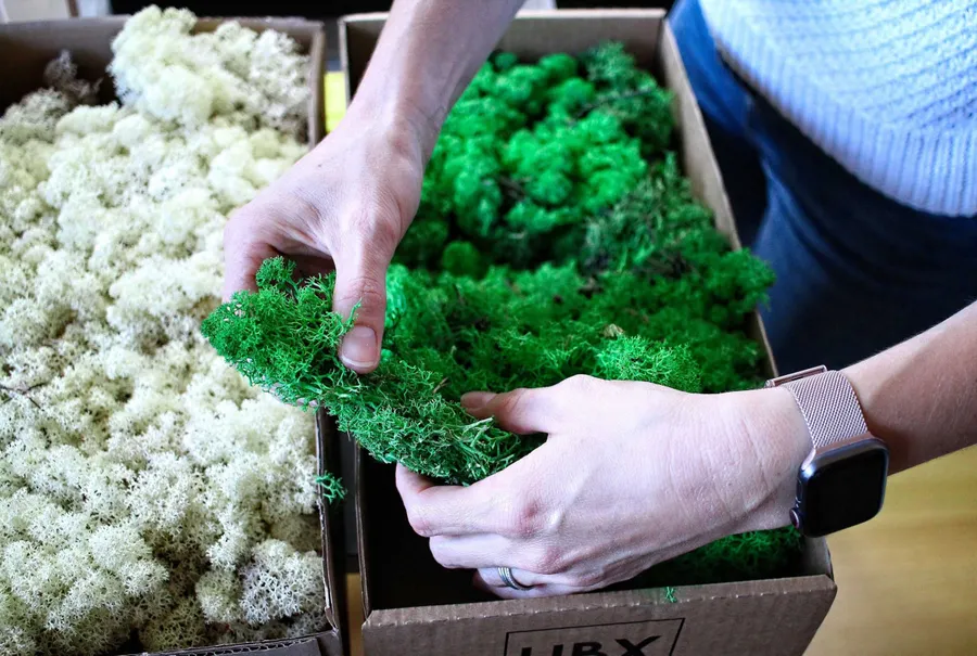 Réalisez votre cadre végétal - Image n°1 - Wecandoo