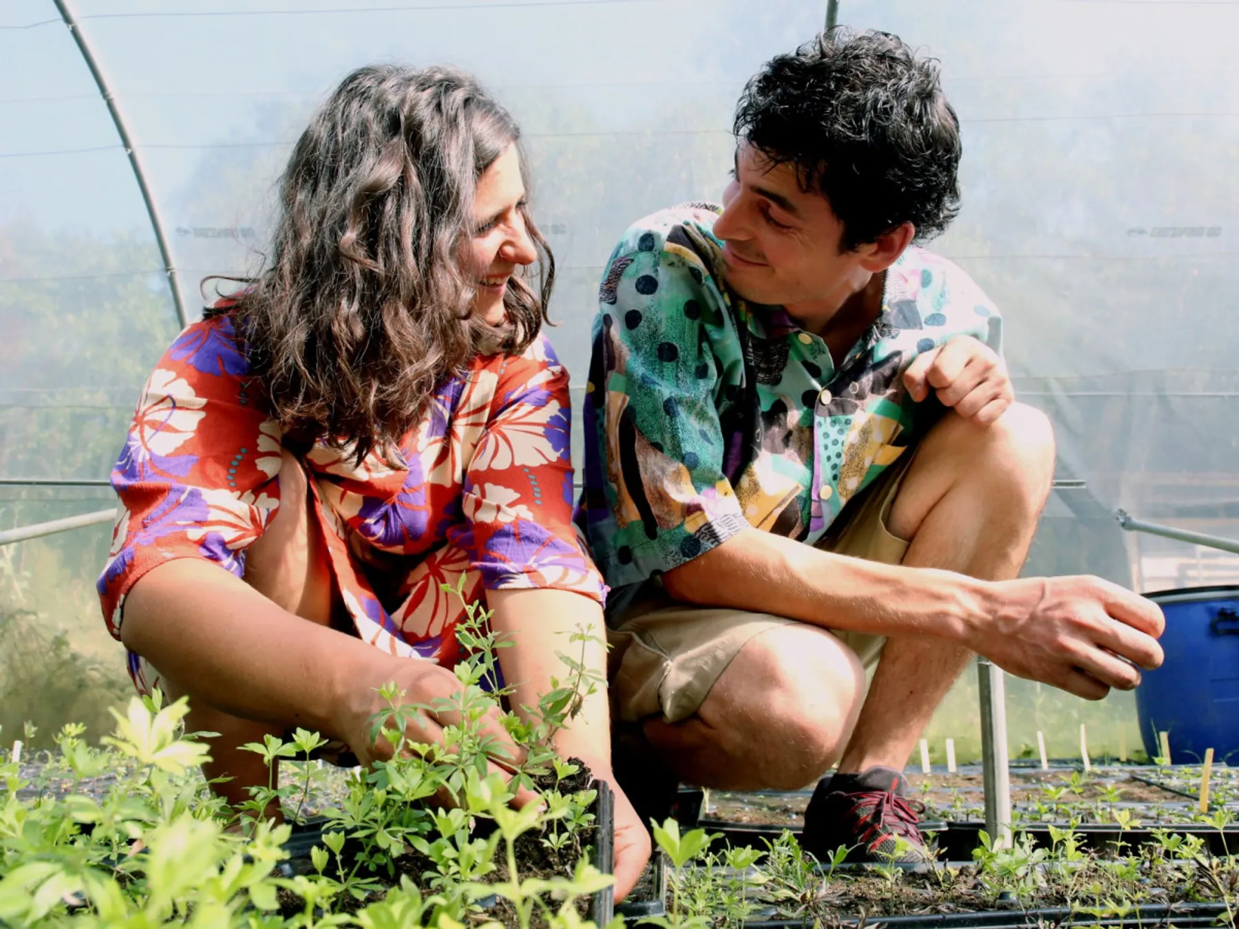 Découvrez la pépinière et concevez un baume végétal - Image n°2 - Wecandoo