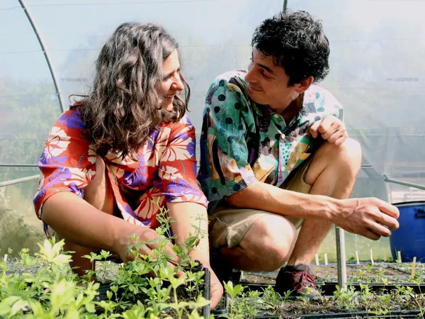 Découvrez la pépinière et concevez un baume végétal - Image n°2 - Wecandoo