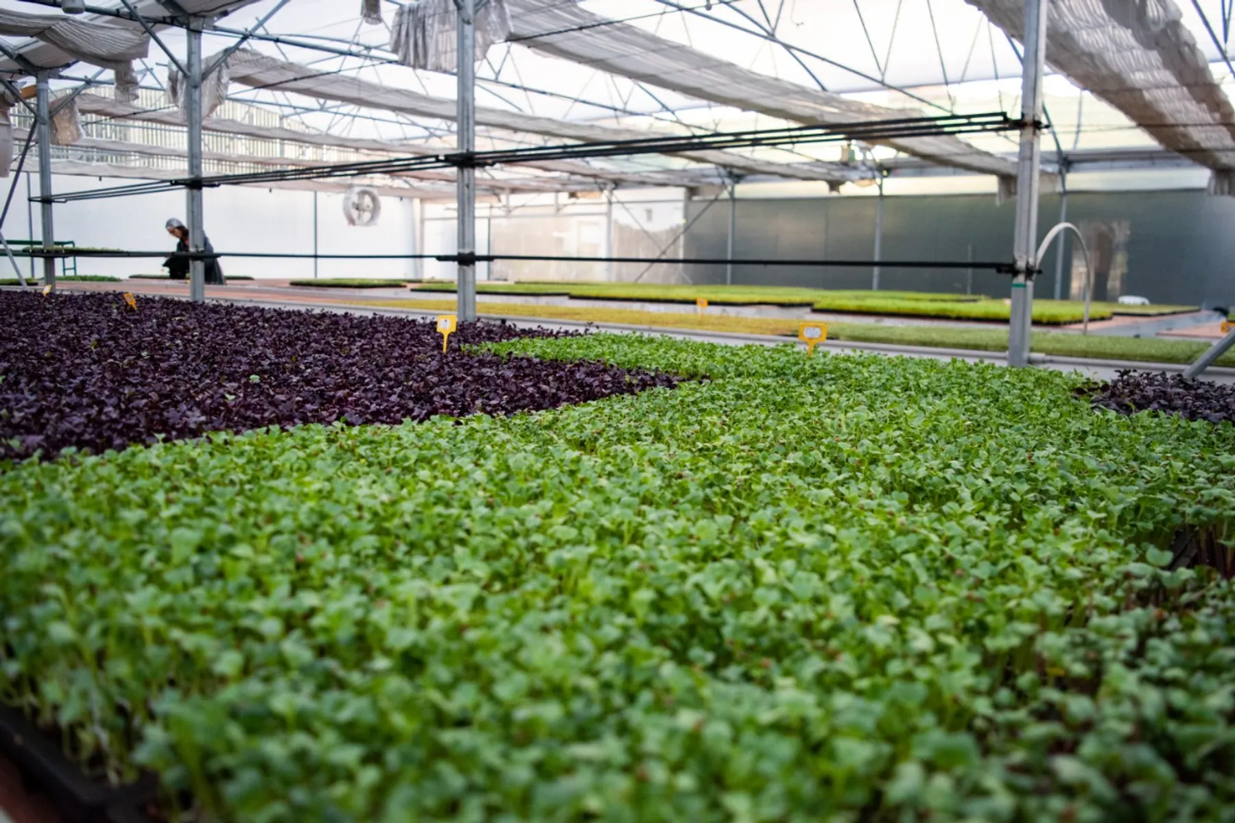 Inspirez votre équipe et découvrez ensemble la culture agroécologique - Image n°2 - Wecandoo