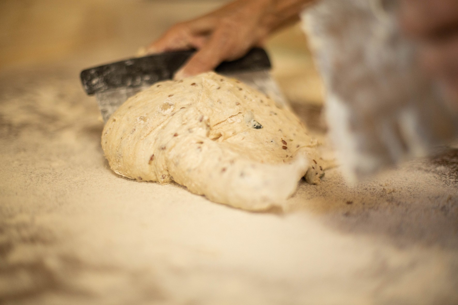 Wecandoo - Réalisez votre levain naturel, vos pains de blé de variétés paysannes - Image n°11