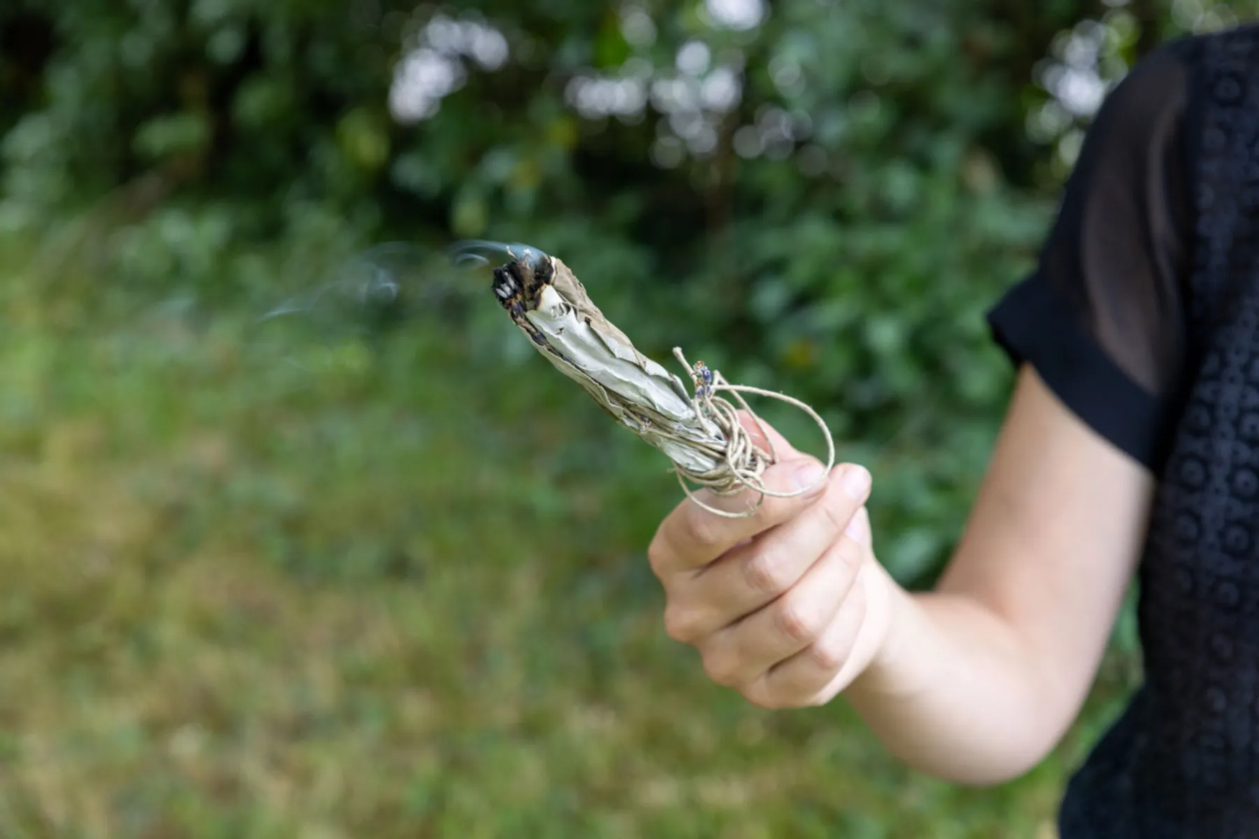 Créez votre bâton de fumigation à base de plantes - Image n°4 - Wecandoo