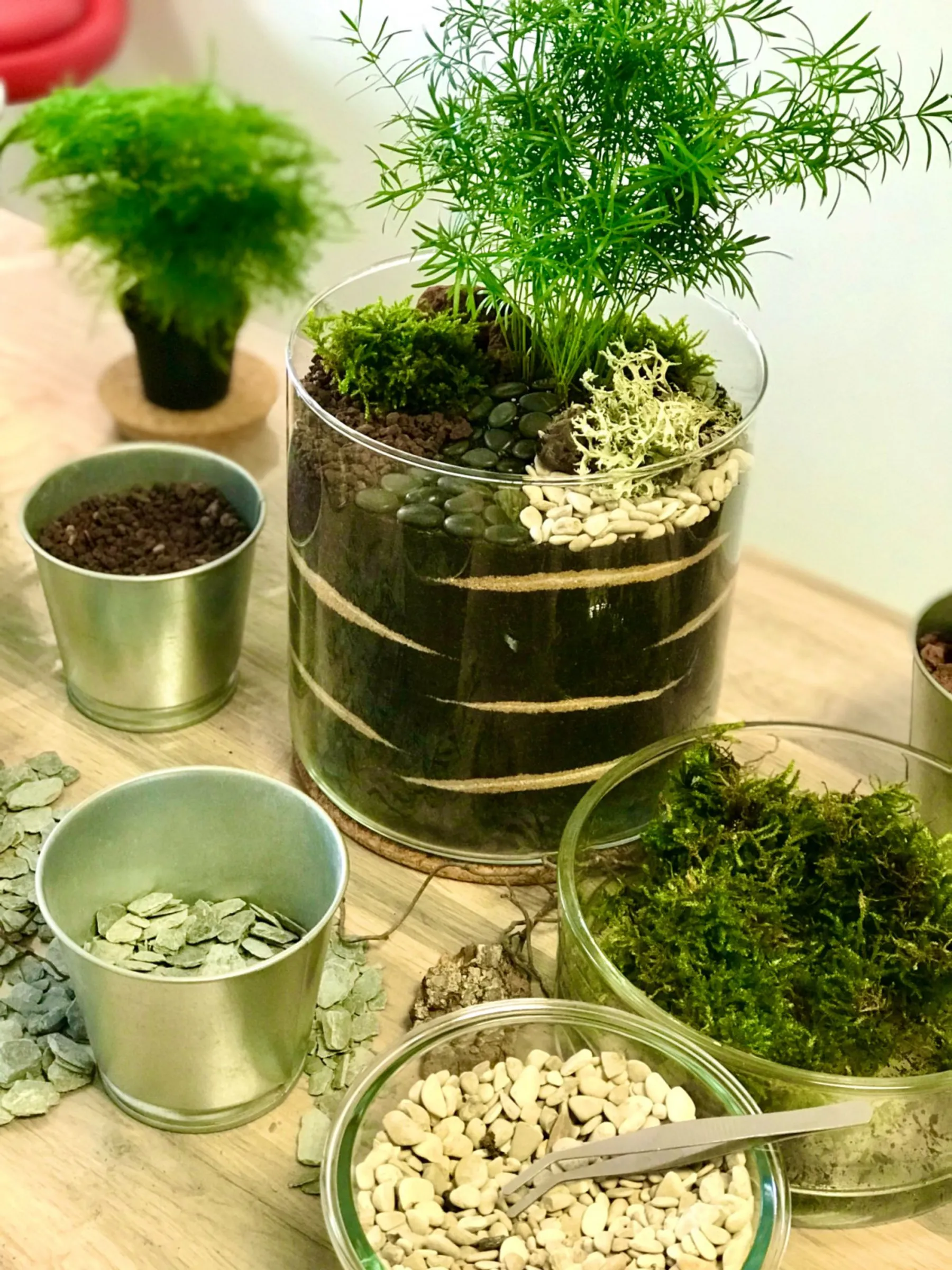 Réalisez votre jardin zen d'intérieur avec Estelle - Image n°4 - Wecandoo