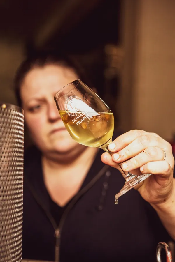 Réunissez votre équipe dans un domaine viticole en biodynamie et dégustez sept vins autour d'un mâchon lyonnais - Image n°2 - Wecandoo