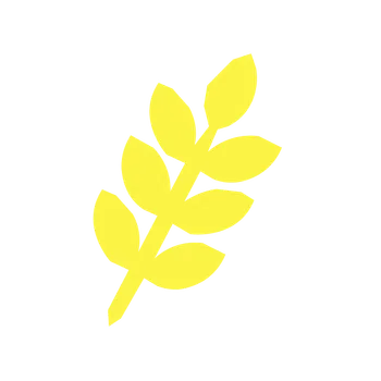 Ateliers à Chartres