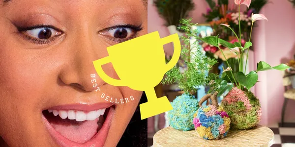 Nos ateliers les plus plébiscités