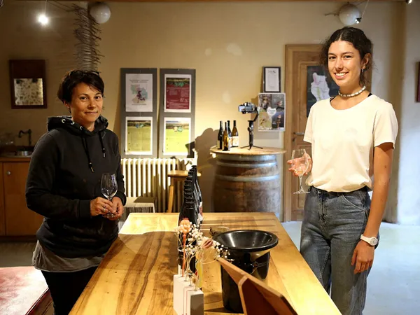 Découvrez le travail des vignes en biodynamie - Image n°3 - Wecandoo