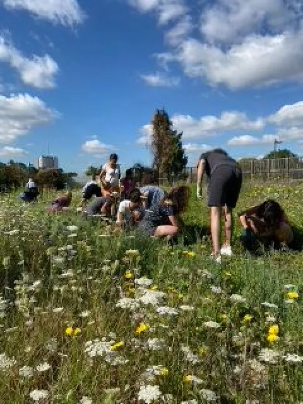 Visitez une ferme florale et découvrez la permaculture - Image n°2 - Wecandoo