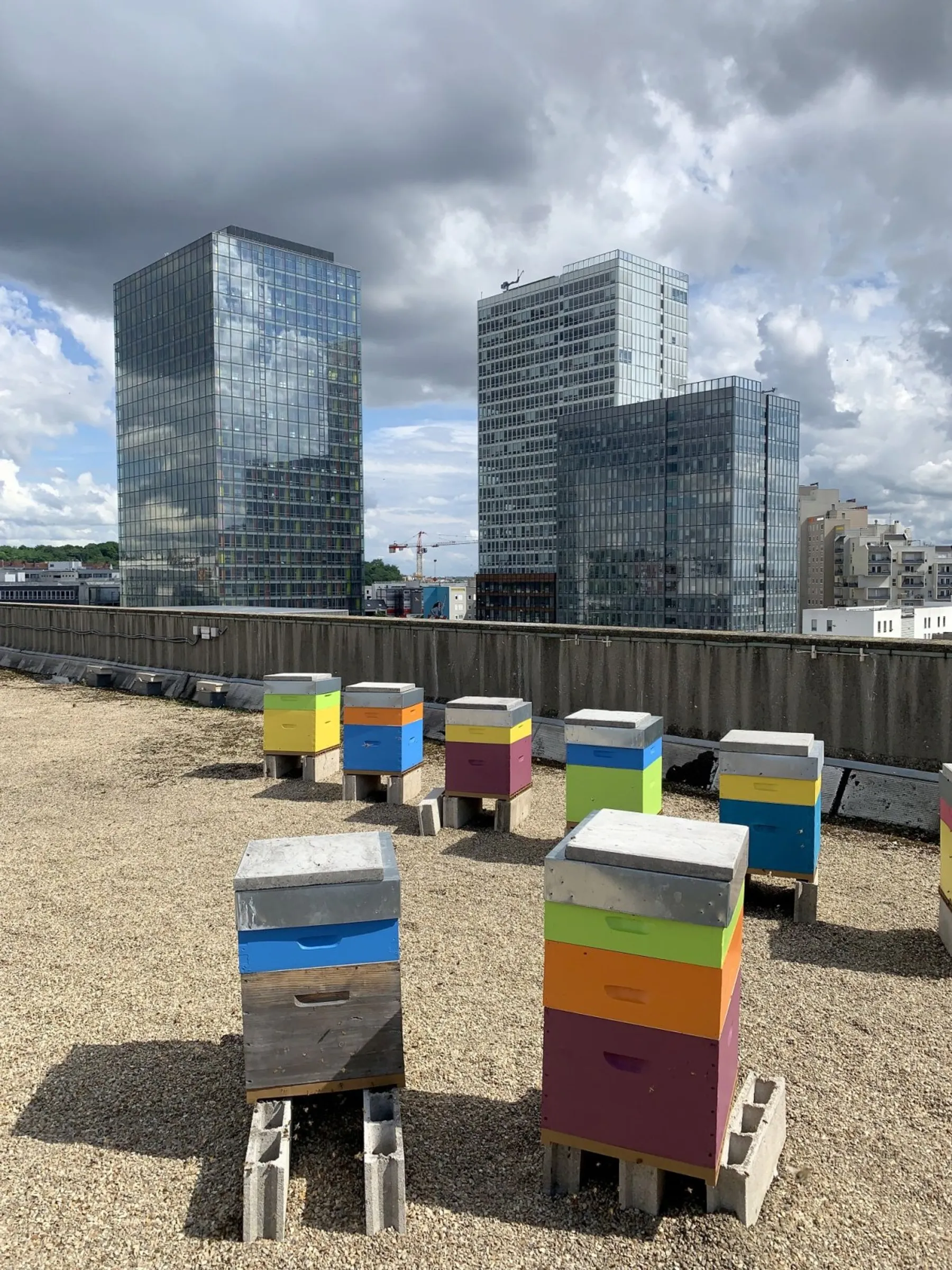 Initiez-vous à l'apiculture sur le toit de la mairie de Montreuil - Image n°1 - Wecandoo
