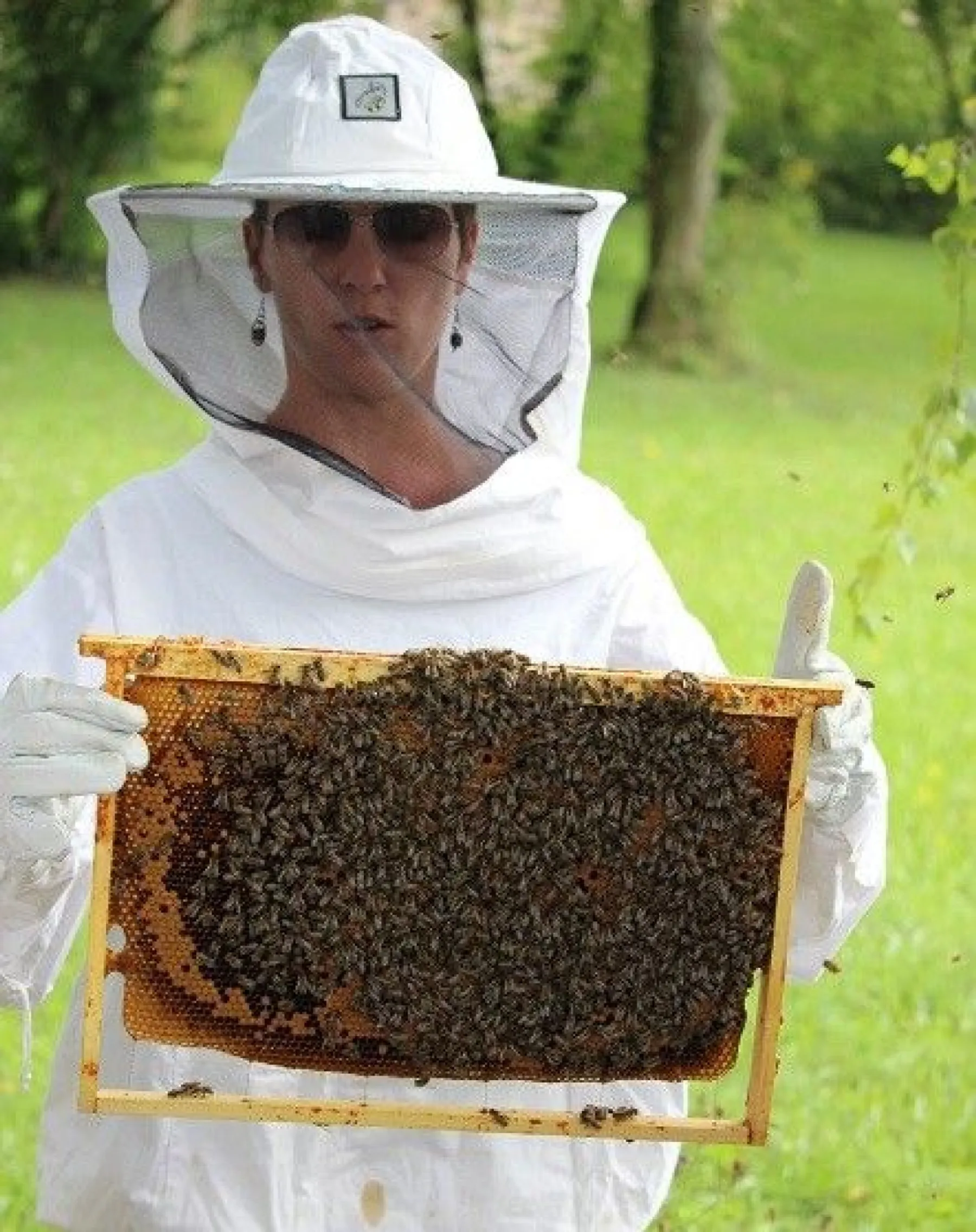 Découvrez l'apiculture - Image n°2 - Wecandoo