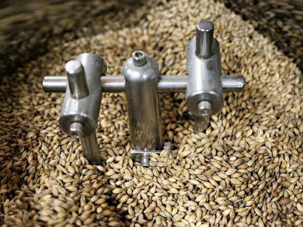 Devenez paysan-brasseur le temps d'une journée - Afbeelding nr. 3 - Wecandoo