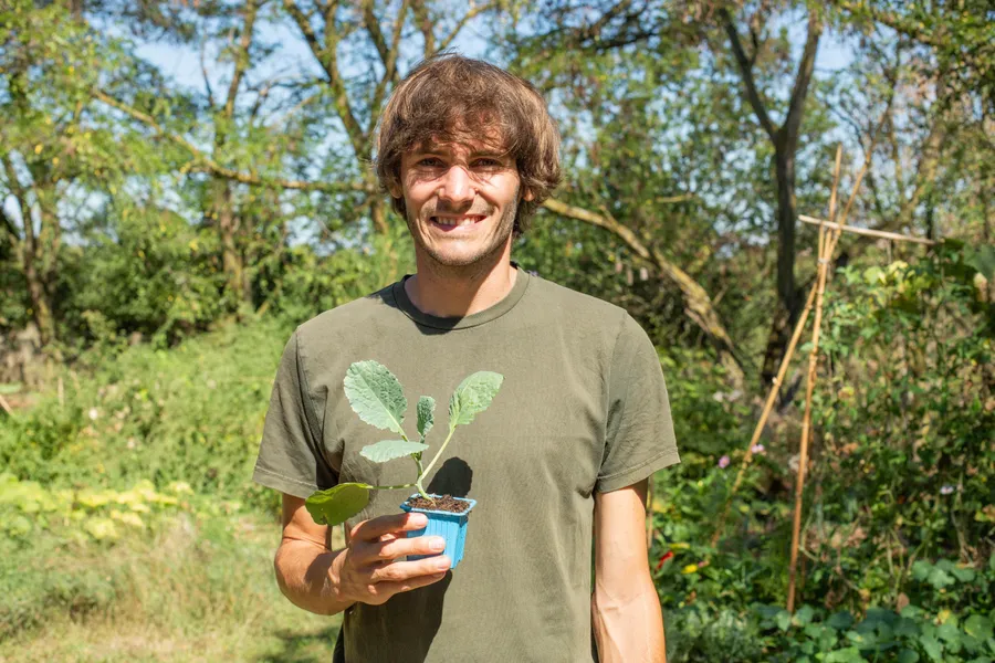 Philippe : Jardinier Permaculteur à Rhône (69)