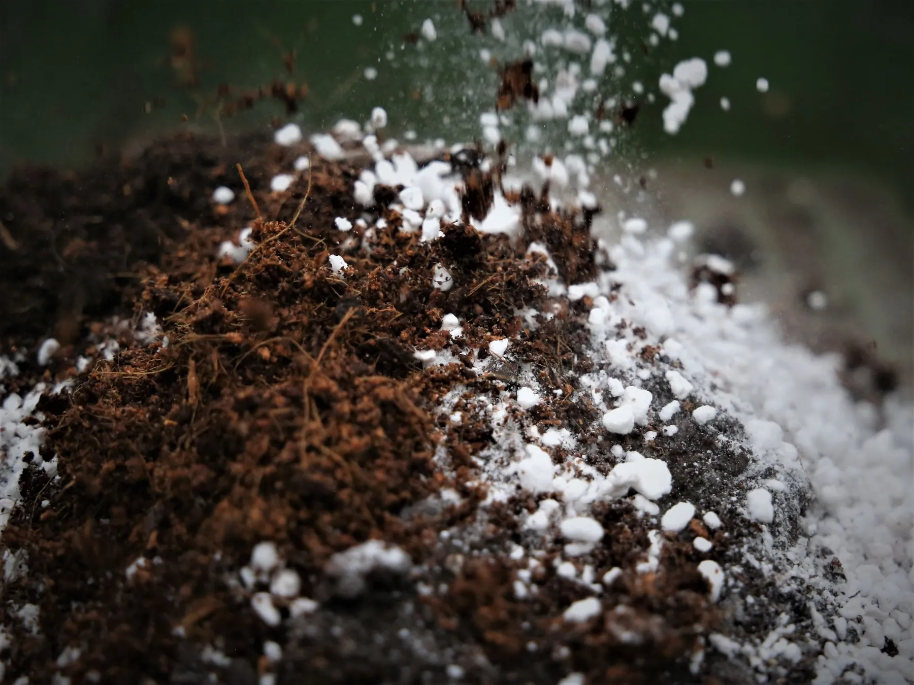 Créez un remède biologique pour soigner votre plante - Image n°2 - Wecandoo