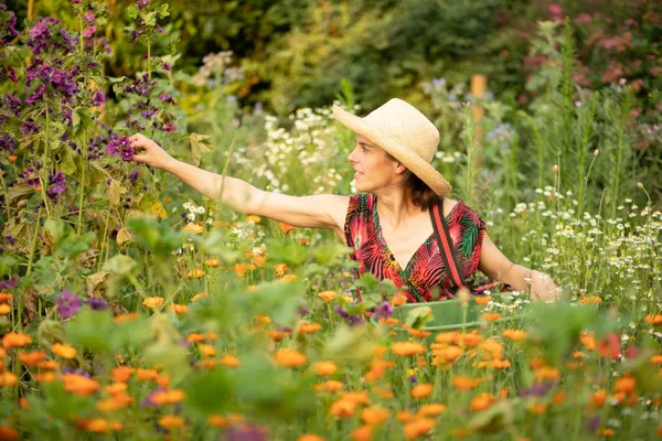 Pick your medicinal plants and concoct your natural tea or remedy - Afbeelding nr. 3 - Wecandoo