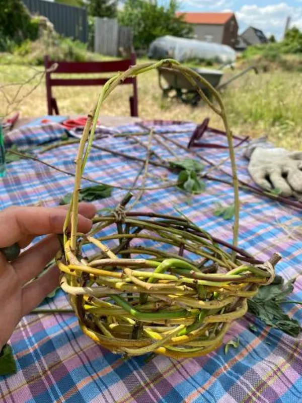 Initiez-vous à la vannerie sauvage - Image n°5 - Wecandoo