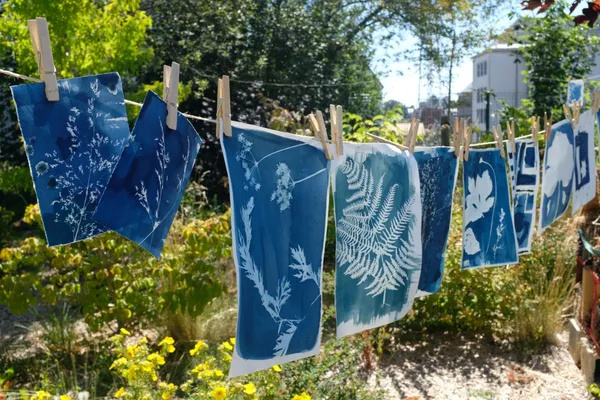 Wecandoo - Initiez-vous au cyanotype