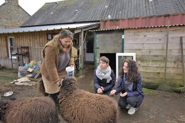 Réalisez votre savon feutré - Image n°2 - Wecandoo