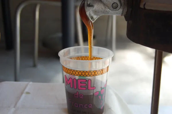 Wecandoo - Plongez-vous dans le monde des abeilles