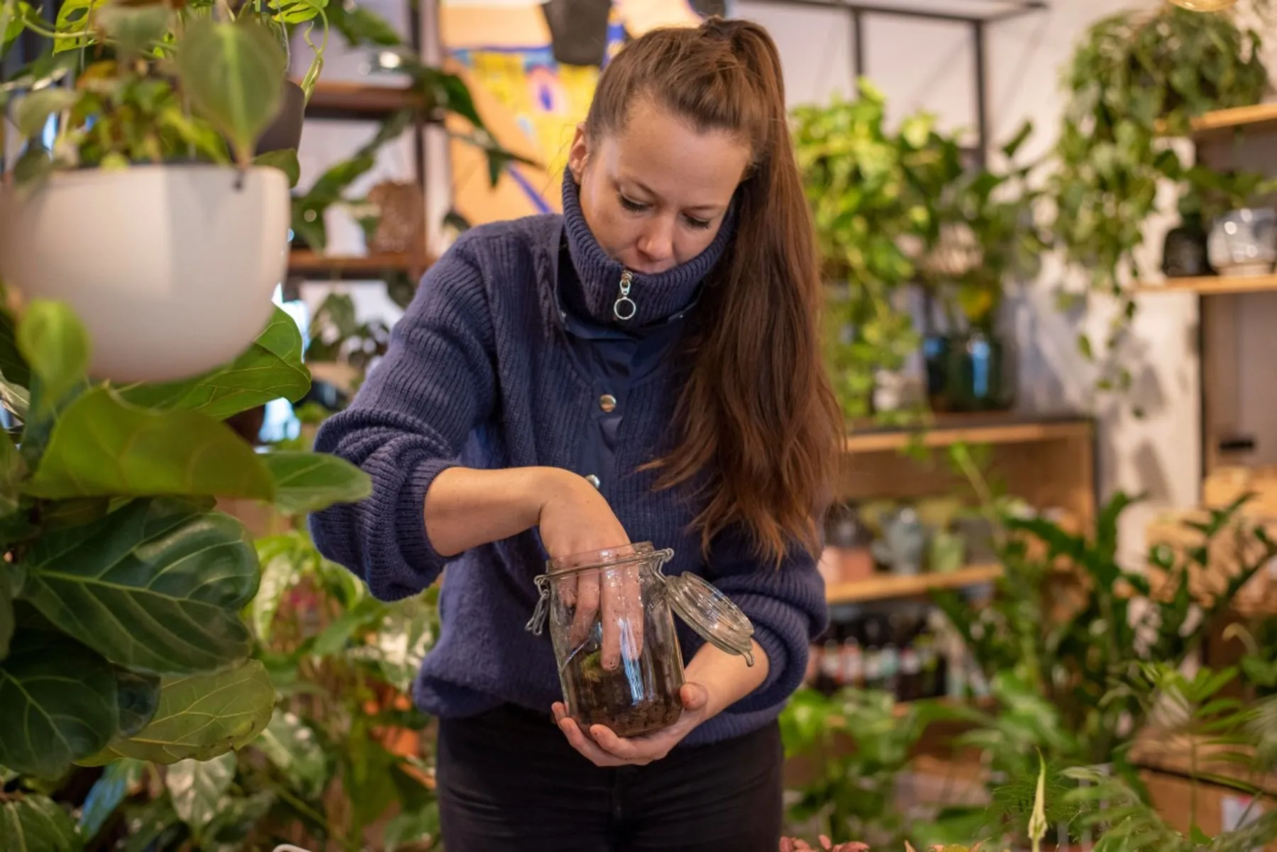 Composez votre terrarium - Image n°4 - Wecandoo