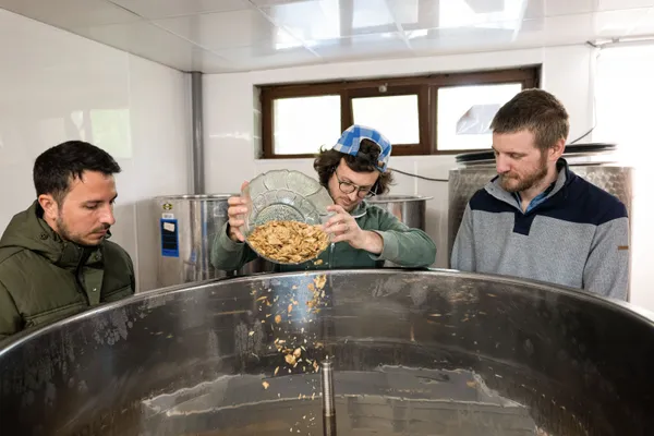 Become a brewer for a day - Afbeelding nr. 2 - Wecandoo