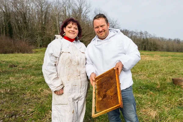 Wecandoo - Initiez-vous à l'apiculture
