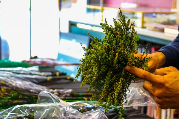 Réalisez votre cadre végétal avec Ivan - Image n°1 - Wecandoo