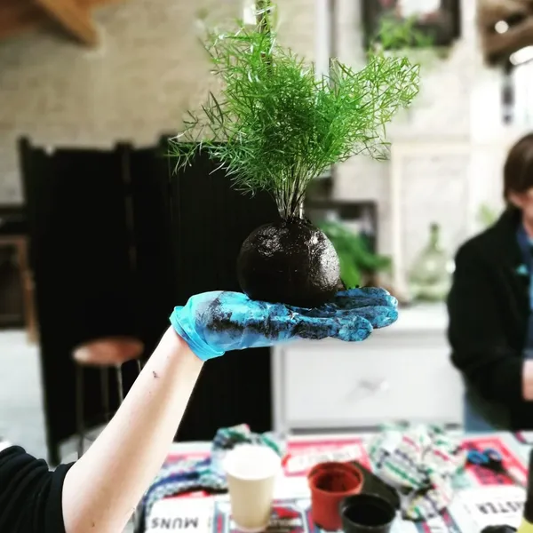 Fabriquez votre kokedama - Image n°3 - Wecandoo