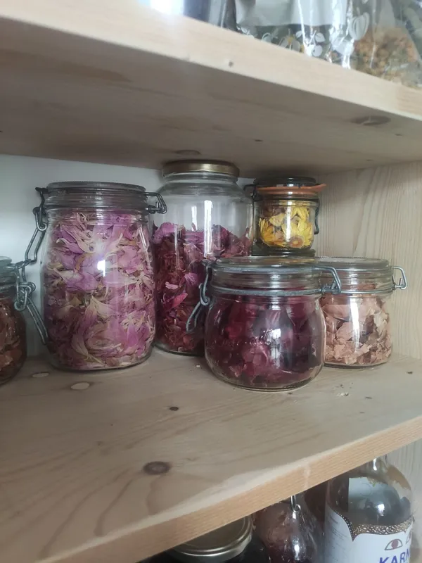 Initiez-vous à la teinture végétale - Image n°2 - Wecandoo