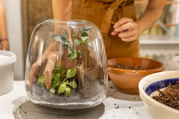 Réalisez votre terrarium en taille M - Image n°3 - Wecandoo