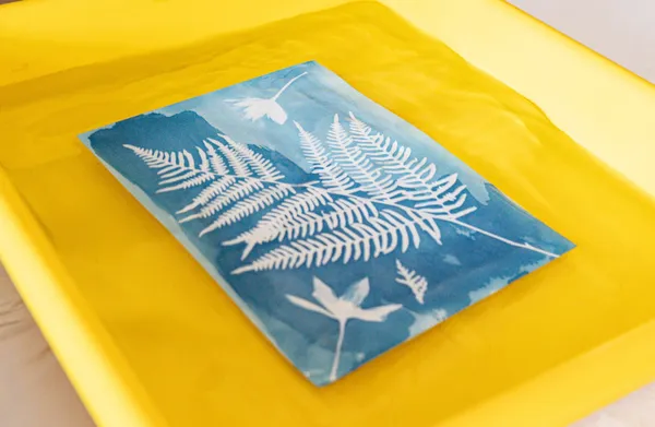Wecandoo - Initiez-vous au cyanotype