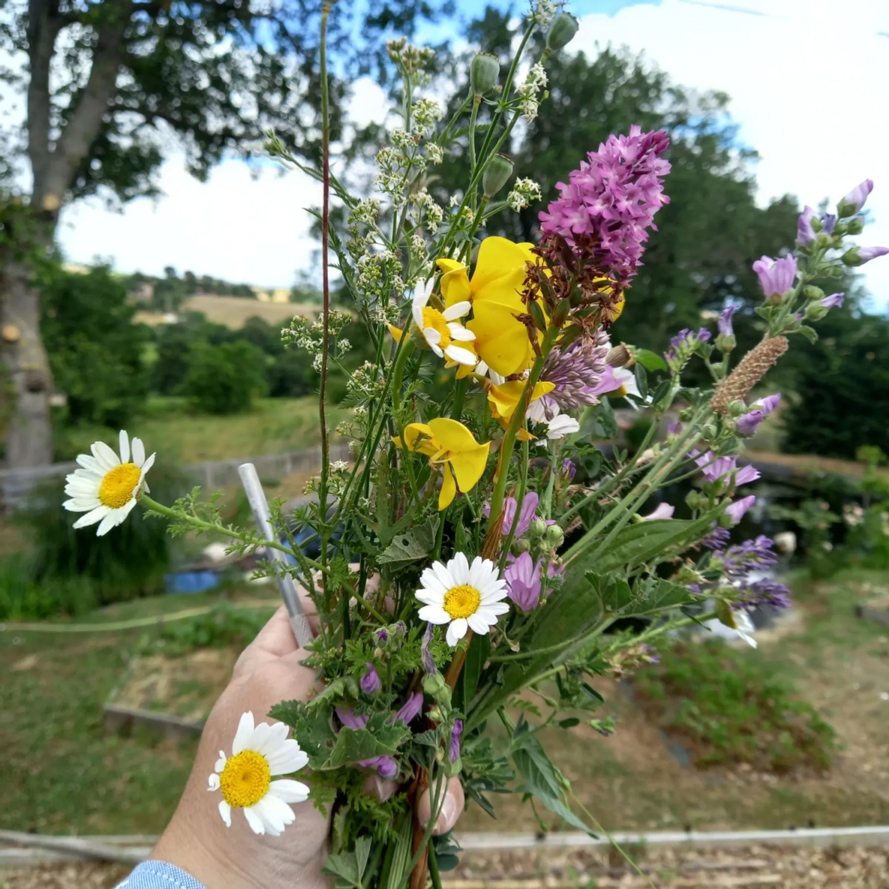 Modelez votre duo d'assiettes - Image n°2 - Wecandoo