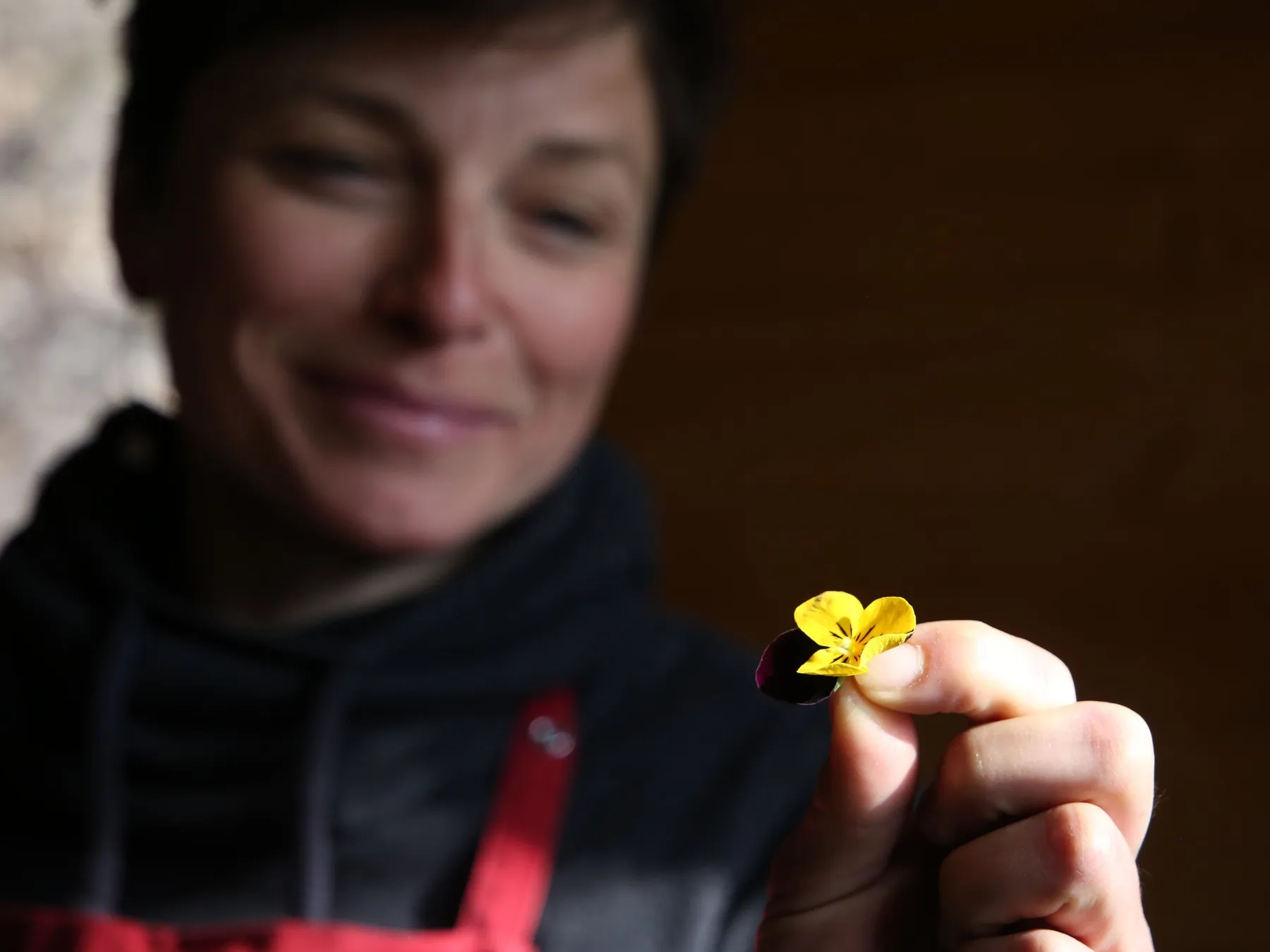 Créez un entremet de saison à décorer - Afbeelding nr. 4 - Wecandoo