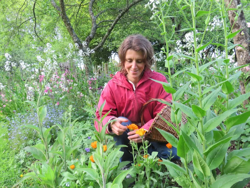 Frédérique : Experte en Plantes Sauvages à Morbihan (56)