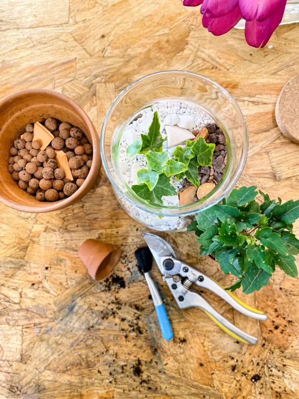 Créez et composez votre terrarium de taille M - Image n°4 - Wecandoo