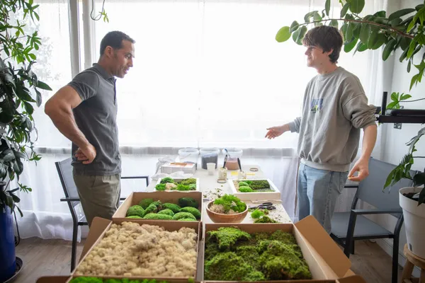 Réalisez votre jardin classique en plantes stabilisées - Image n°4 - Wecandoo