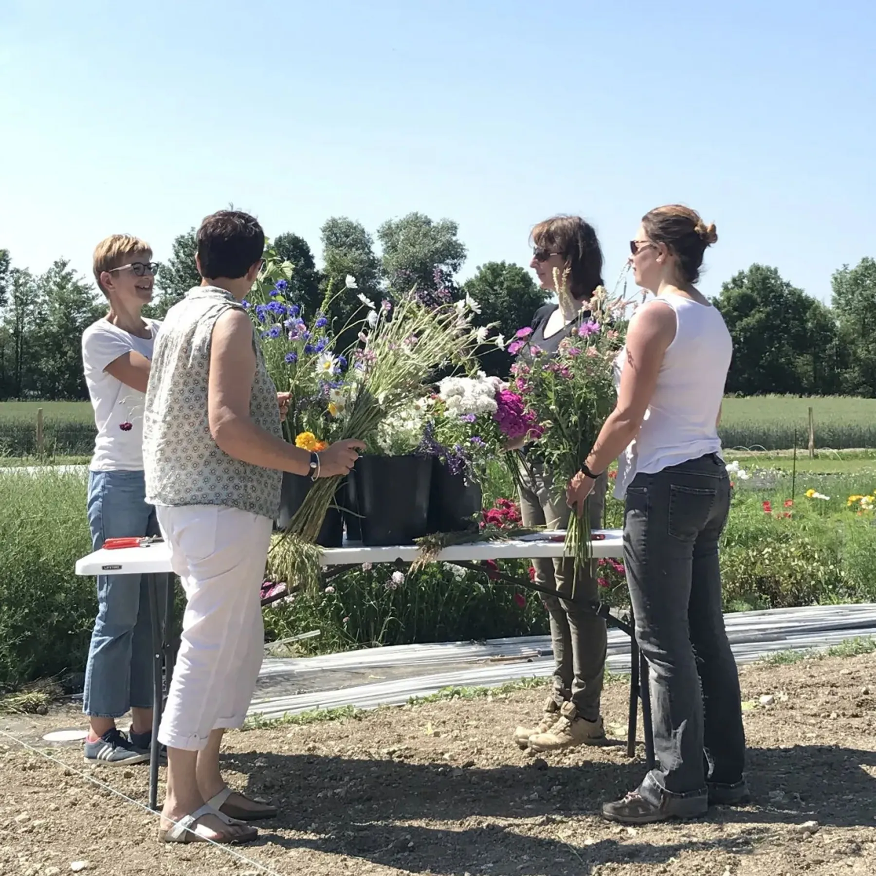 Composez votre bouquet champêtre à la ferme - Afbeelding nr. 2 - Wecandoo