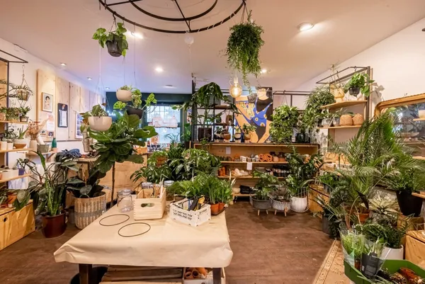 Composez votre terrarium - Afbeelding nr. 1 - Wecandoo