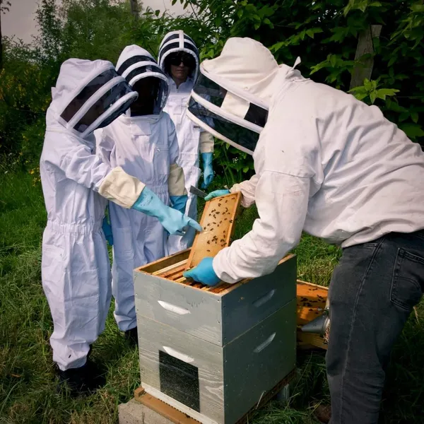 Wecandoo - Découvrez l'apiculture en famille