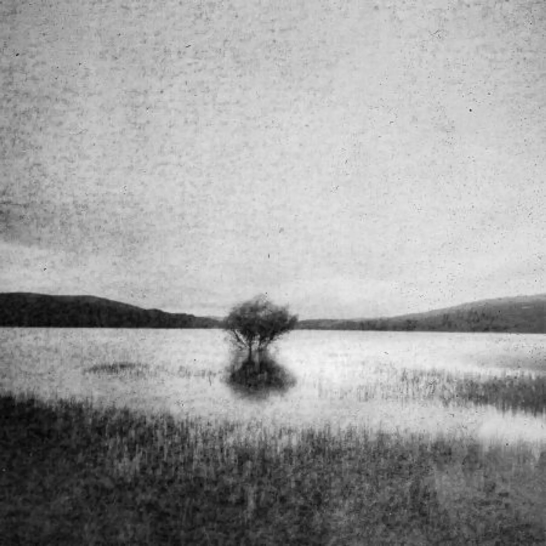 Découvrez la photographie argentique et la technique du sténopé - Image n°4 - Wecandoo