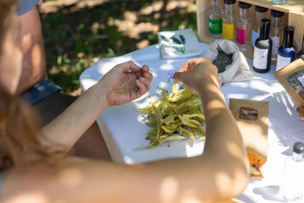 Fabriquez votre élixir sur-mesure aux plantes médicinales - Image n°3 - Wecandoo